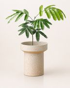 Beige Bodenvase von Lunéva in klassischer europäischer Vasenform