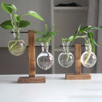 Eichenholz Hydrokultur-Tischvase von Lunéva mit Reagenzglas und einzelner Blüte auf einem Tisch