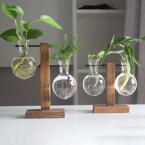 Eichenholz Hydrokultur-Tischvase von Lunéva mit Reagenzglas und einzelner Blüte auf einem Tisch