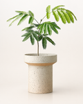 Burgblüte Bodenvase von Lunéva in Beige neben einem Sessel im Wohnzimmer